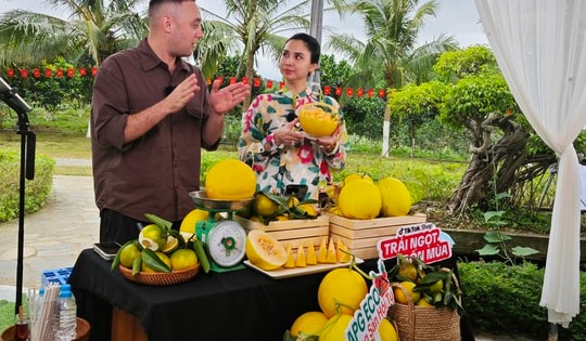 Đưa vườn cam, dưa kim hoàng hậu vùng cao lên sóng livestream