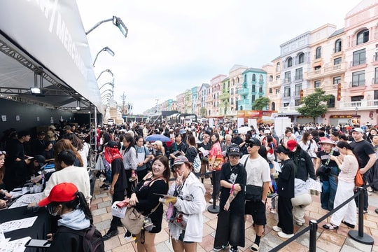 Ocean City 'bùng nổ' trước giờ G: Fan Việt và quốc tế cuồng nhiệt đổ về