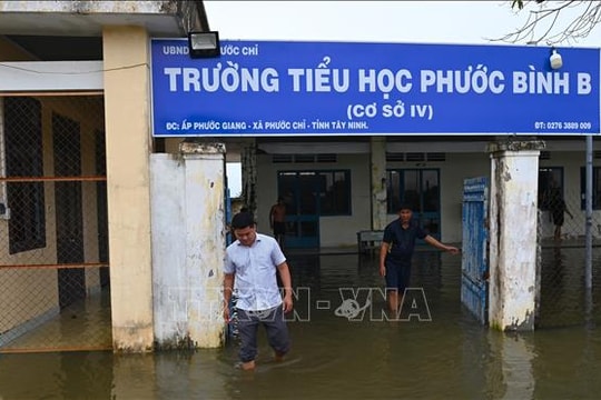 Nước sông Vàm Cỏ Đông dâng cao, học sinh nhiều điểm trường biên giới phải nghỉ học