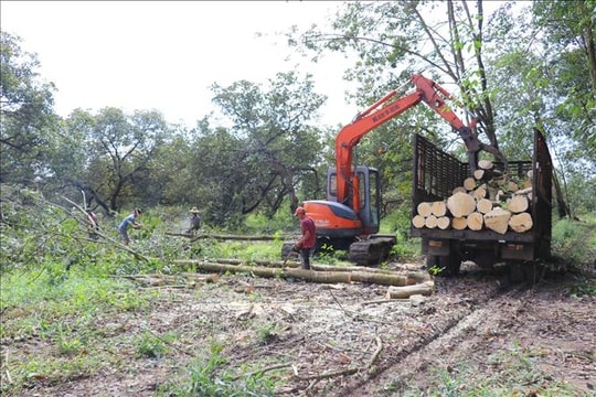 Bàn giao mặt bằng Dự án cao tốc Bắc - Nam phía Tây