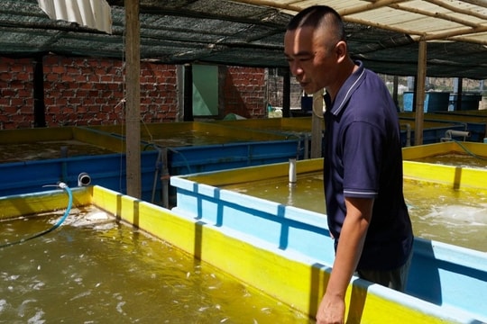 Ngư dân thất thần sau bão Kalmaegi: Trắng tay rồi, tan nát hết!