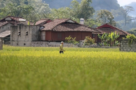 Ngôi làng người Tày ở Việt Nam là "Làng du lịch tốt nhất thế giới 2025"