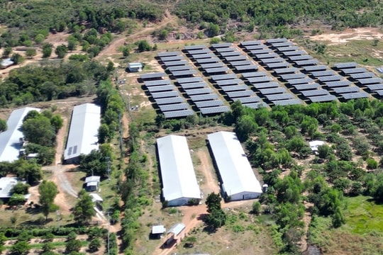 Việt Nam cần giải bài toán thực thi để trở thành 'thiên đường năng lượng xanh'