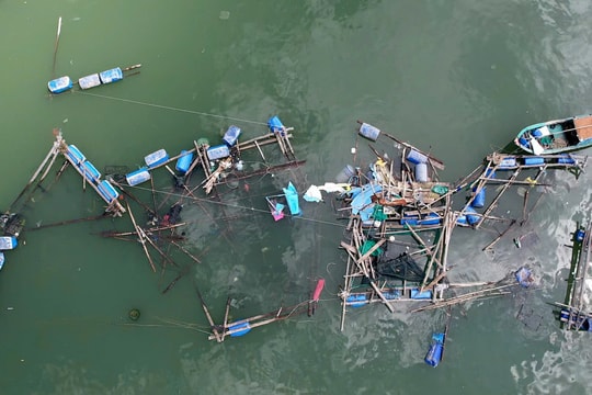 'Thủ phủ' tôm hùm tan hoang sau bão Kalmaegi