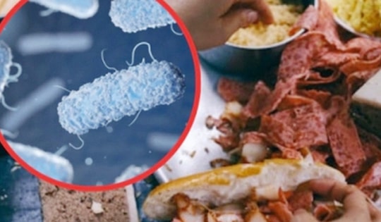 Xác định nguyên nhân khiến hơn 80 người ngộ độc sau khi ăn bánh mì
