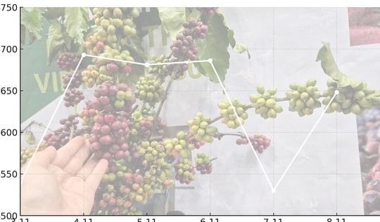 Giá cà phê hôm nay 8 -11: Quay đầu tăng mạnh