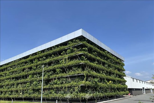 Thách thức chuyển đổi xanh khi hội nhập chuỗi cung ứng toàn cầu