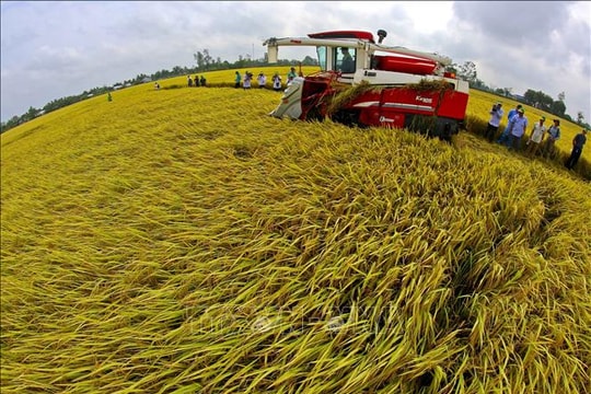 Nông nghiệp Việt Nam từ bệ đỡ đến động lực phát triển mới