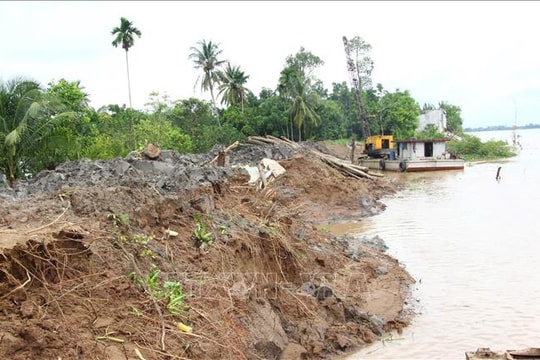 Vĩnh Long: Công bố tình huống khẩn cấp sạt lở đê bao cồn Thanh Long