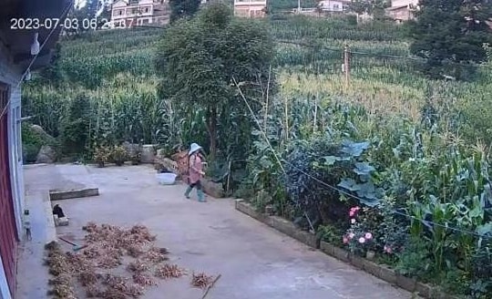 Kẻ sát nhân lộ sơ hở vì 'có tật giật mình'