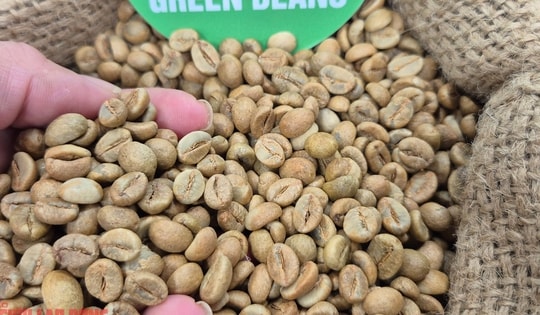 Giá cà phê hôm nay 9-11: Ai là vua xuất khẩu cà phê?