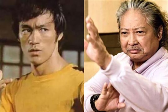 Hồng Kim Bảo học Tiệt quyền đạo, hoàn thành nhiệm vụ dang dở của Lý Tiểu Long