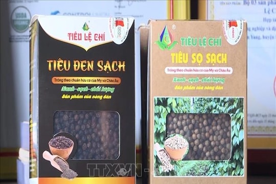 Giá giảm, xuất khẩu hồ tiêu vẫn duy trì đà tăng trưởng trên 25%