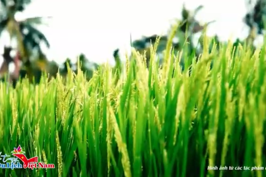 Tăng tốc về đích Cuộc thi video du lịch 2025: Hoàn thiện tiêu chí, sẵn sàng trao giải