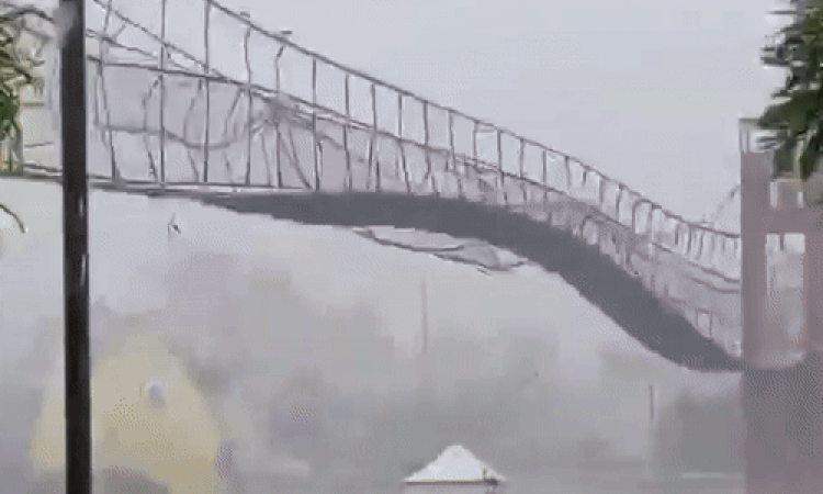 Khoảnh khắc cầu treo Philippines chao đảo giữa bão Fung Wong