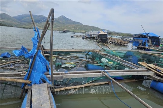 Khẩn trương khôi phục sản xuất nông nghiệp sau bão số 13