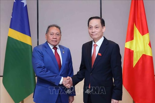 Thúc đẩy quan hệ hữu nghị và hợp tác giữa Việt Nam và Solomon