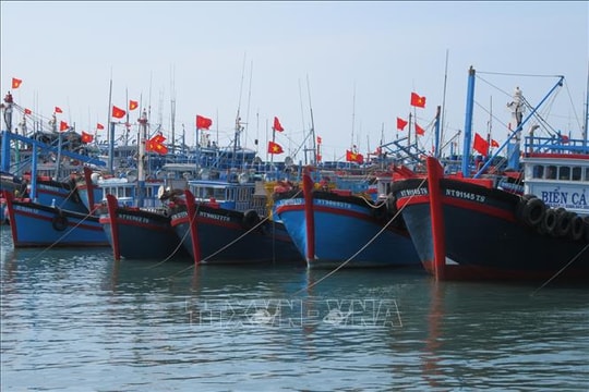 Hướng dẫn tàu thuyền biết hướng di chuyển của bão khi cấp phép rời cảng