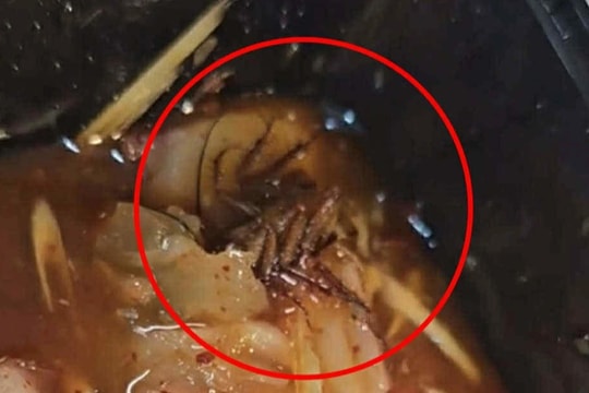 Đặt suất gân bò về nhà, khách ở TPHCM hốt hoảng thấy gián trong đồ ăn