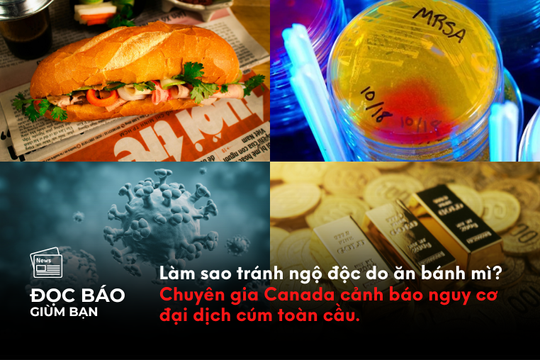 Làm sao tránh ngộ độc do ăn bánh mì? Chuyên gia Canada cảnh báo nguy cơ đại dịch cúm toàn cầu
