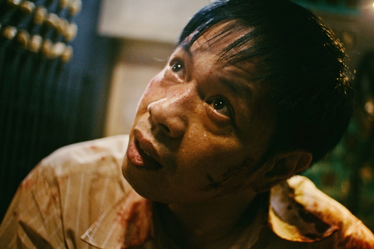 Thái Hòa biến hóa trên màn ảnh rộng