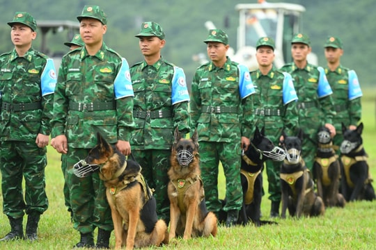 Diễn tập Việt Nam - Ấn Độ về gìn giữ hòa bình