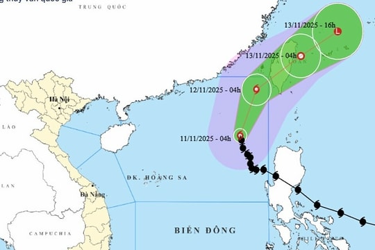 Bão Fung Wong giảm còn cấp 12, gây sóng biển cao 9 m