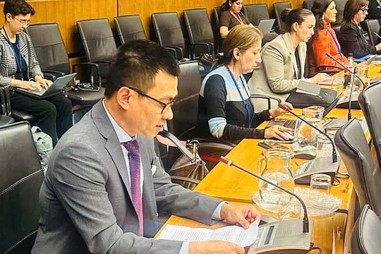 Việt Nam ủng hộ cấm thử vũ khí hạt nhân