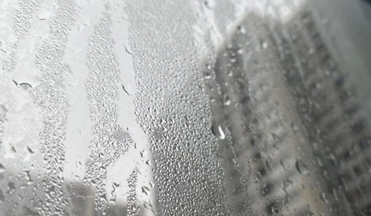 Thời tiết ẩm ướt bất thường ở miền Bắc, chuyên gia cảnh báo nguy cơ dịch bệnh