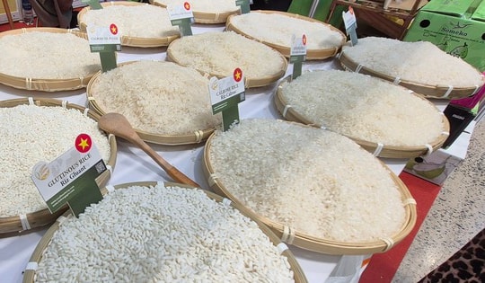 Chủ tịch VFA nói gì về việc Philippines dừng nhập khẩu gạo đến hết năm 2025?