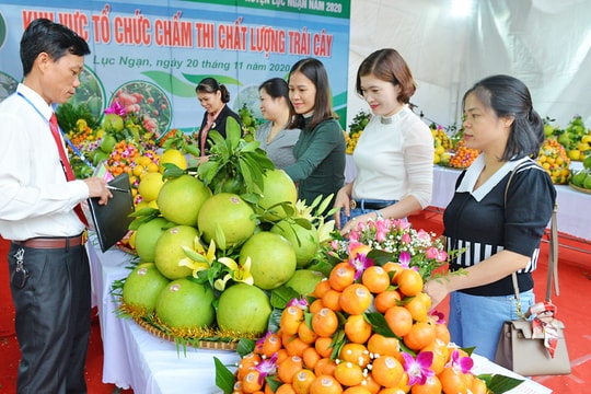 Sắp diễn ra Lễ hội trái cây Bắc Ninh năm 2025