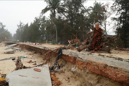 Sạt lở ăn sâu, 80 hộ dân Quảng Ngãi sống trong nỗi lo biển cuốn nhà