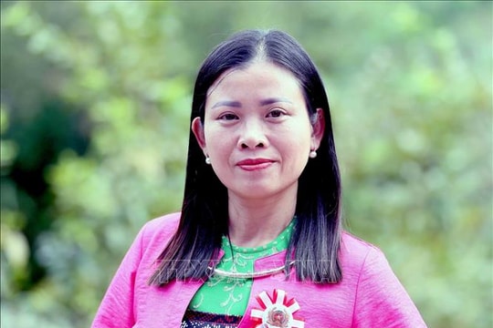 Chính sách bảo đảm môi trường cần bao trùm hơn nữa