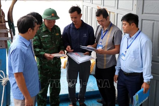 Khắc phục 'thẻ vàng IUU' - Bài 1