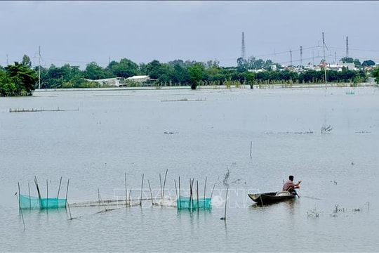 Mực nước trên sông Hậu tại trạm Long Xuyên vẫn còn nguy cơ gây ngập lụt