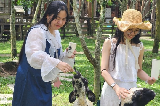 Cần Thơ: Tiềm năng du lịch lớn, cần đột phá để níu chân du khách