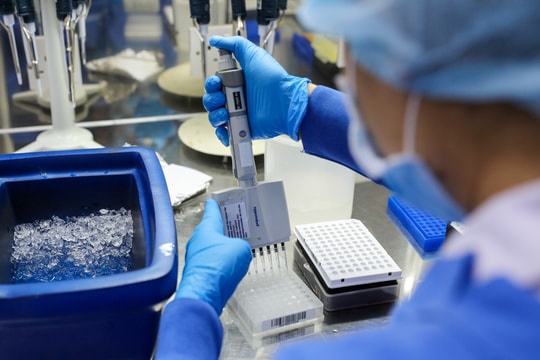 Giải trình tự gene vi khuẩn gây ngộ độc hàng trăm người ăn bánh mì