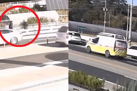 Runner bị xe tải tông khi đang dẫn đầu cuộc đua marathon