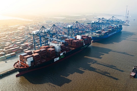 Tỷ phú Phạm Nhật Vượng sẽ làm khu bến cảng, logistics hơn 4.300 ha ở Hải Phòng