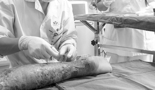 Bé trai 12 tuổi hét thất thanh, bố mẹ chạy vào thấy cảnh tượng "đáng sợ"