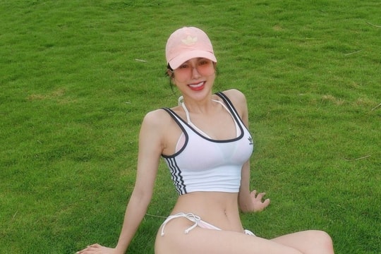 Diệp Lâm Anh phản bác