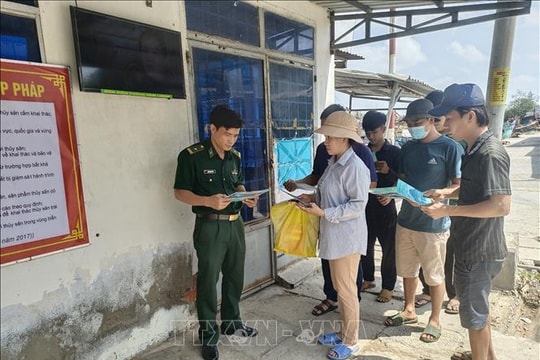 Khắc phục 'thẻ vàng' IUU: Giám sát hành trình cảnh báo các tàu không mắc sai phạm