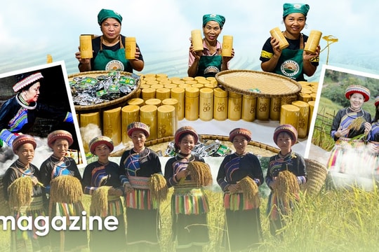 Hợp tác xã - mở lối thoát nghèo cho phụ nữ dân tộc thiểu số