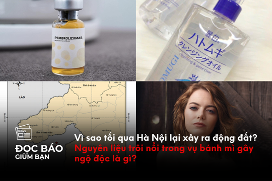 Vì sao Hà Nội lại xảy ra động đất? Nguyên liệu trôi nổi trong vụ bánh mì gây ngộ độc là gì?