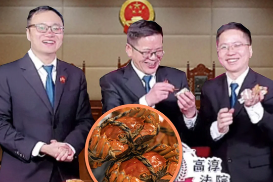 Ba thẩm phán livestream bán hàng tại tòa