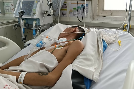 Cảnh giác viêm não, viêm màng não cuối năm