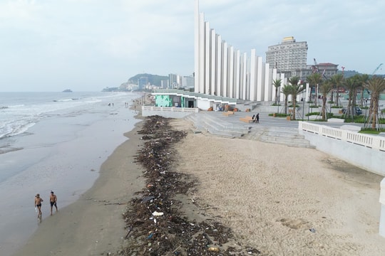 Rác ngập bờ biển dọc công viên nghìn tỷ ở Vũng Tàu