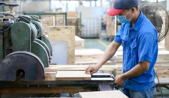 Kinh tế tư nhân - Động lực phải thành thực tế