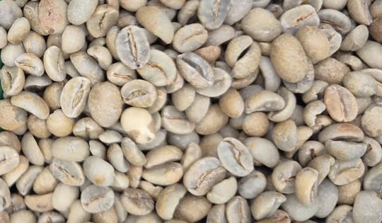 Giá cà phê hôm nay 13 -11: Đua nhau bán tháo, giá cà phê giảm cực mạnh