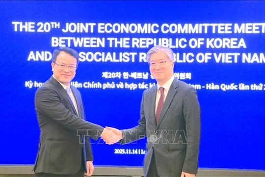 Việt Nam và Hàn Quốc tìm kiếm giải pháp thúc đẩy hợp tác toàn diện